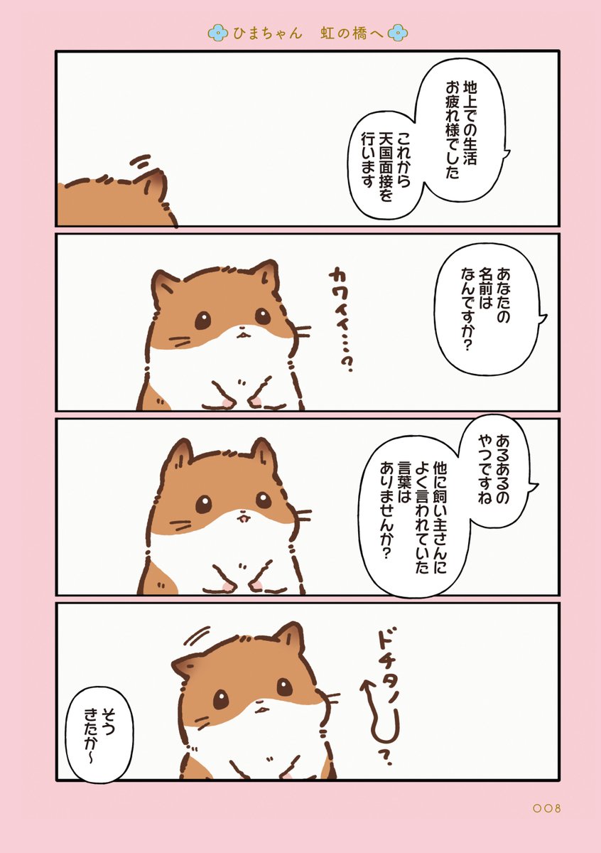 しらほし卯乃@2巻＆ぬいぐるみ🌻🐹 tweet media