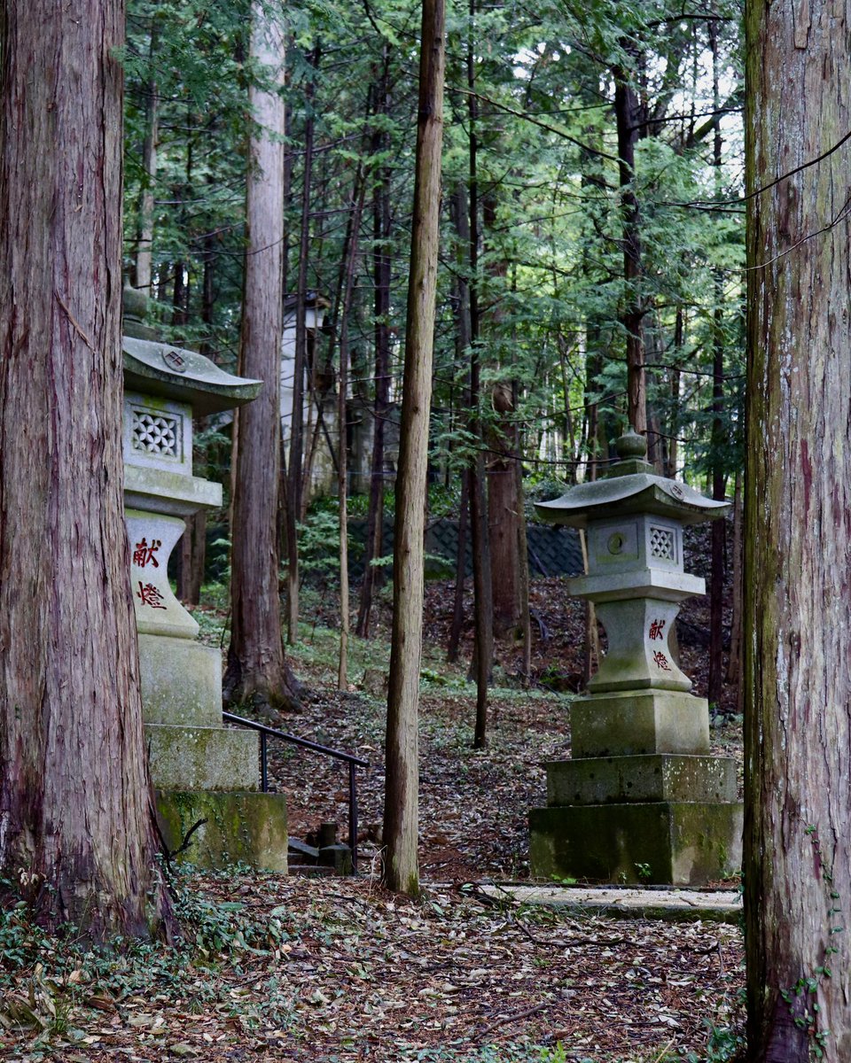 5月を迎え、
新緑が美しい季節となりました。

雨に濡れた木々や草木がいっそう青々と映え、境内にはしっとりとした穏やかな空気が広がっています。

#武田八幡宮　#山梨　#韮崎　#神社巡り