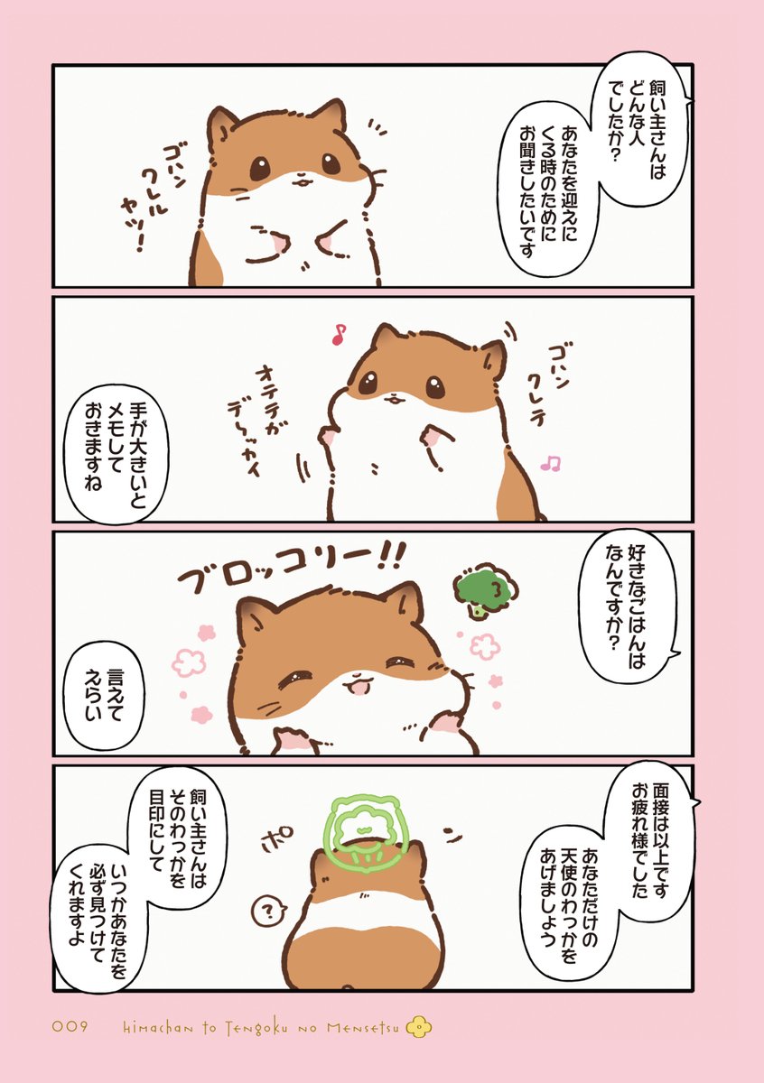 しらほし卯乃@2巻＆ぬいぐるみ🌻🐹 tweet media