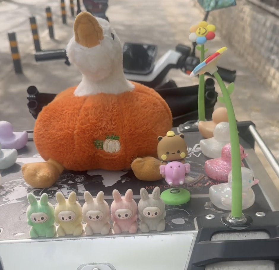 BeijingEvening's tweet image. 00后外卖小哥装扮坐骑，愿中国外卖走向全球
What's a post-00s delivery rider's biggest wish in #Beijing? His toy on his e-bike spells it out: "May China's food delivery service reach every corner of the world." #BeijingService