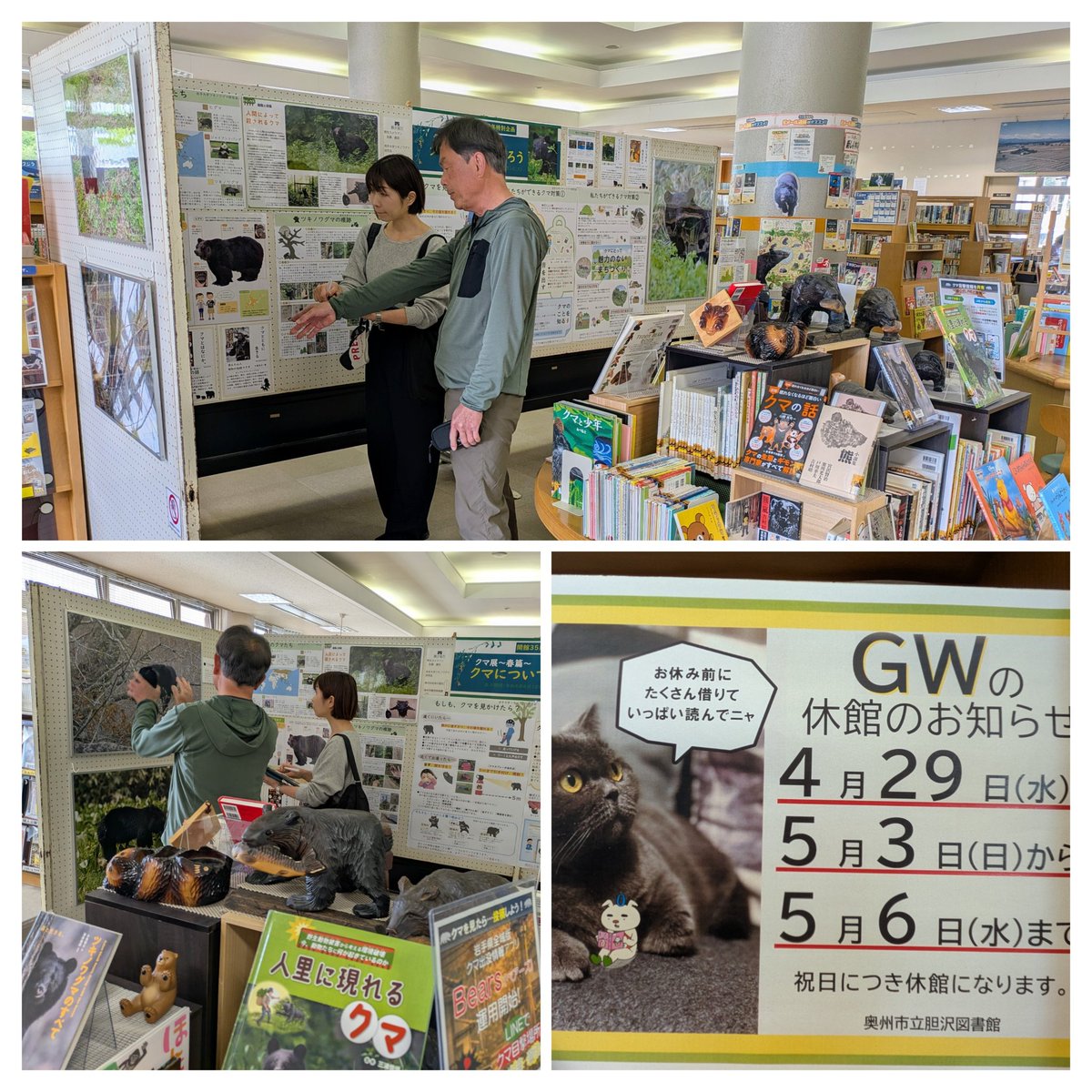 猫ノ図書館 tweet media