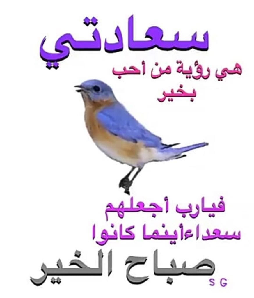 ساهر الليل tweet media
