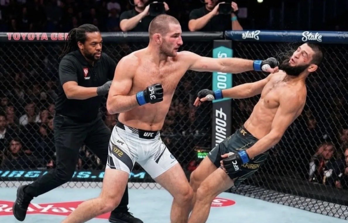The Fight Fanatic tweet media