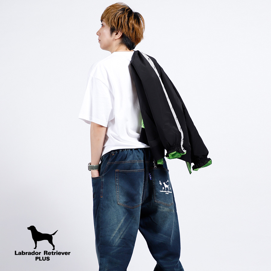 Labrador Retriever PLUS tweet media