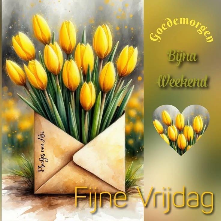 Gerda janssen 🇳🇱🦋🇳🇱🦋 tweet media