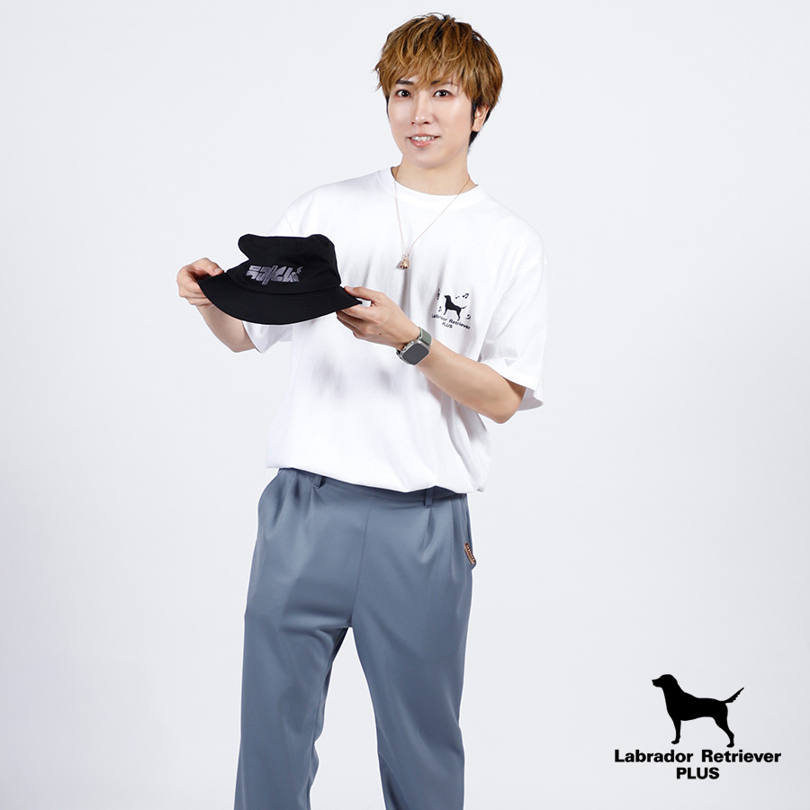 Labrador Retriever PLUS tweet media