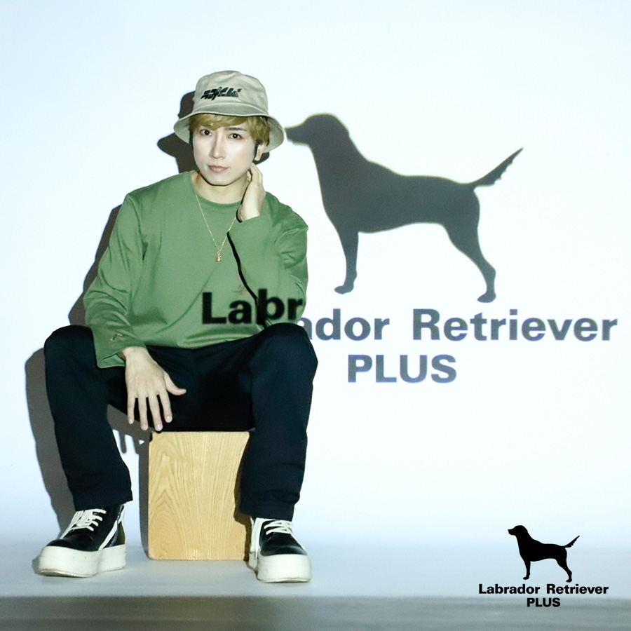 Labrador Retriever PLUS tweet media