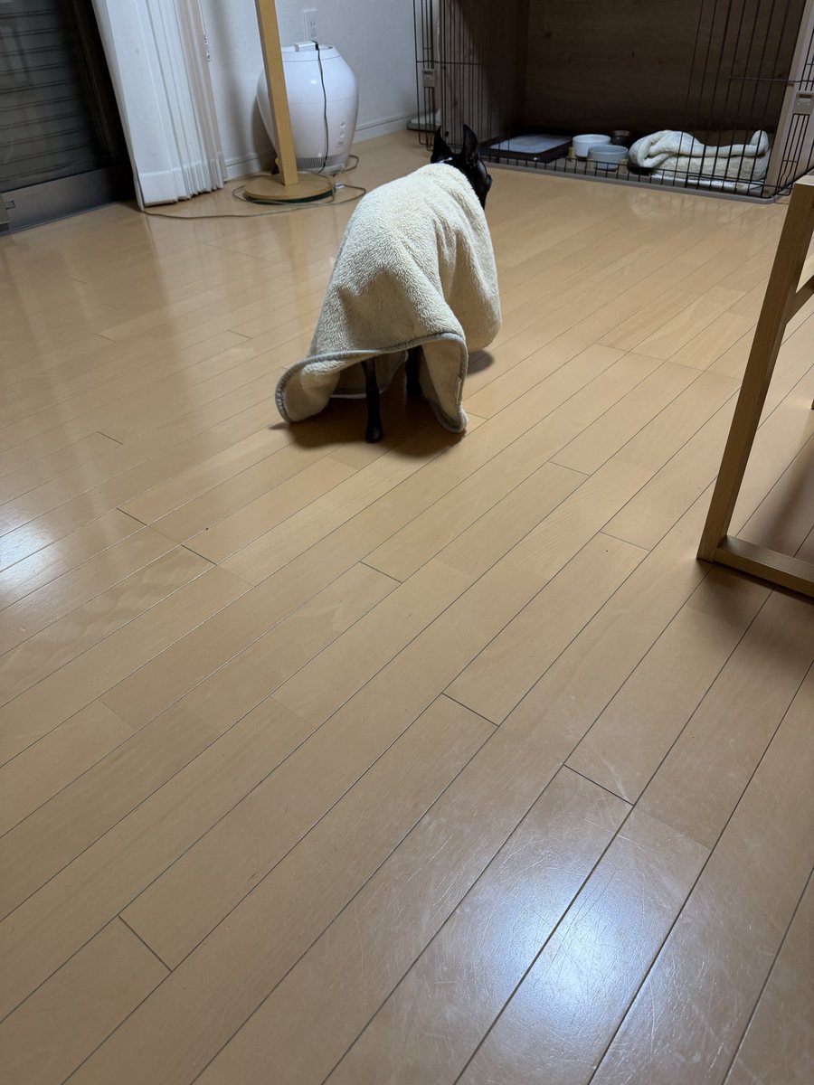 やば tweet media
