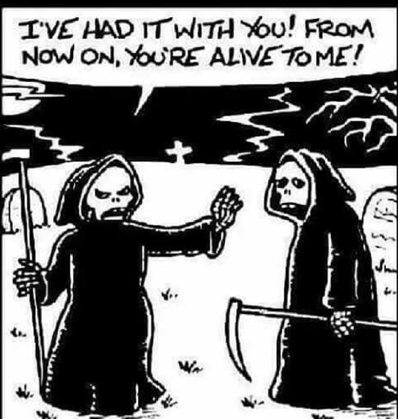Classic Horror Films tweet media