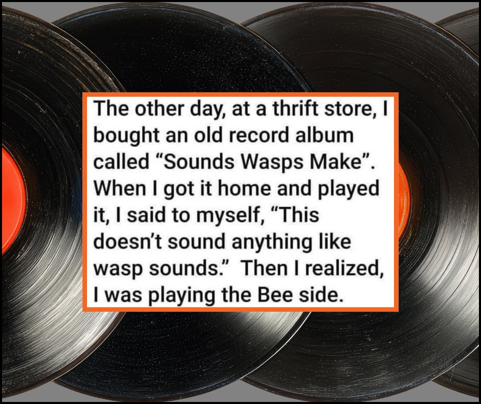 practicingmusic's tweet image. We see you. You read it twice. That's okay, so did we.

#practicingmusician #musiceducation #musichumor #musicmatters #vinylrecords