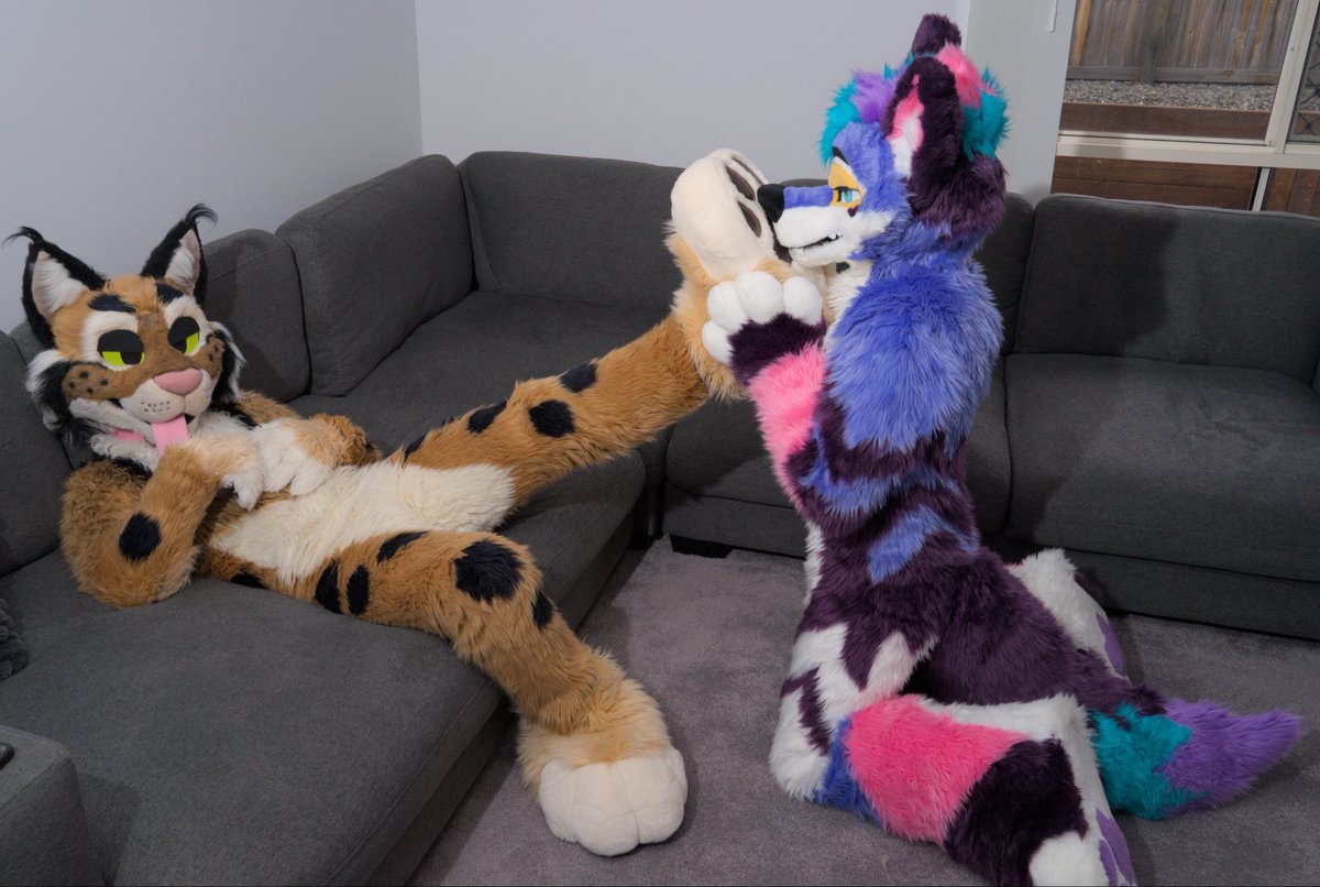 ranger_shep's tweet photo. Good way to celebrate #FursuitFriday 🐾

🐱 @toastedlynx // 📸 @KalTheDingo https://t.co/vq6aTPncjB