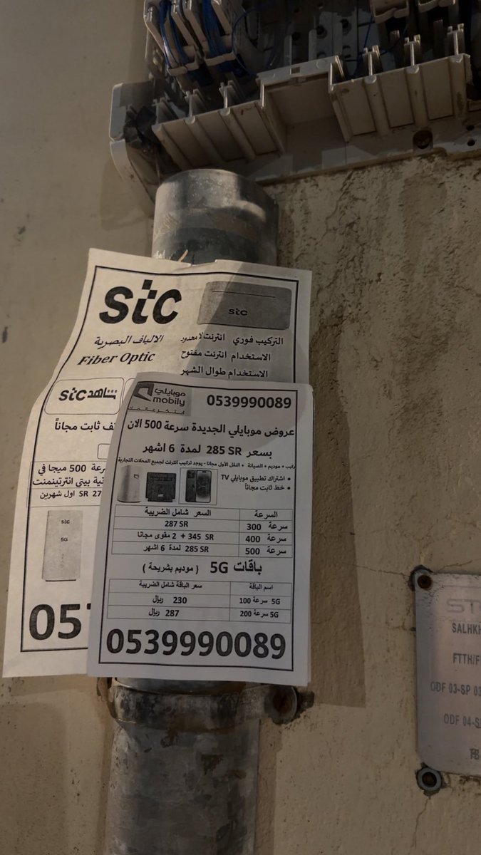 مشعل tweet media