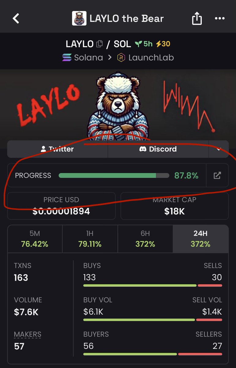 Laylo The Bear tweet media