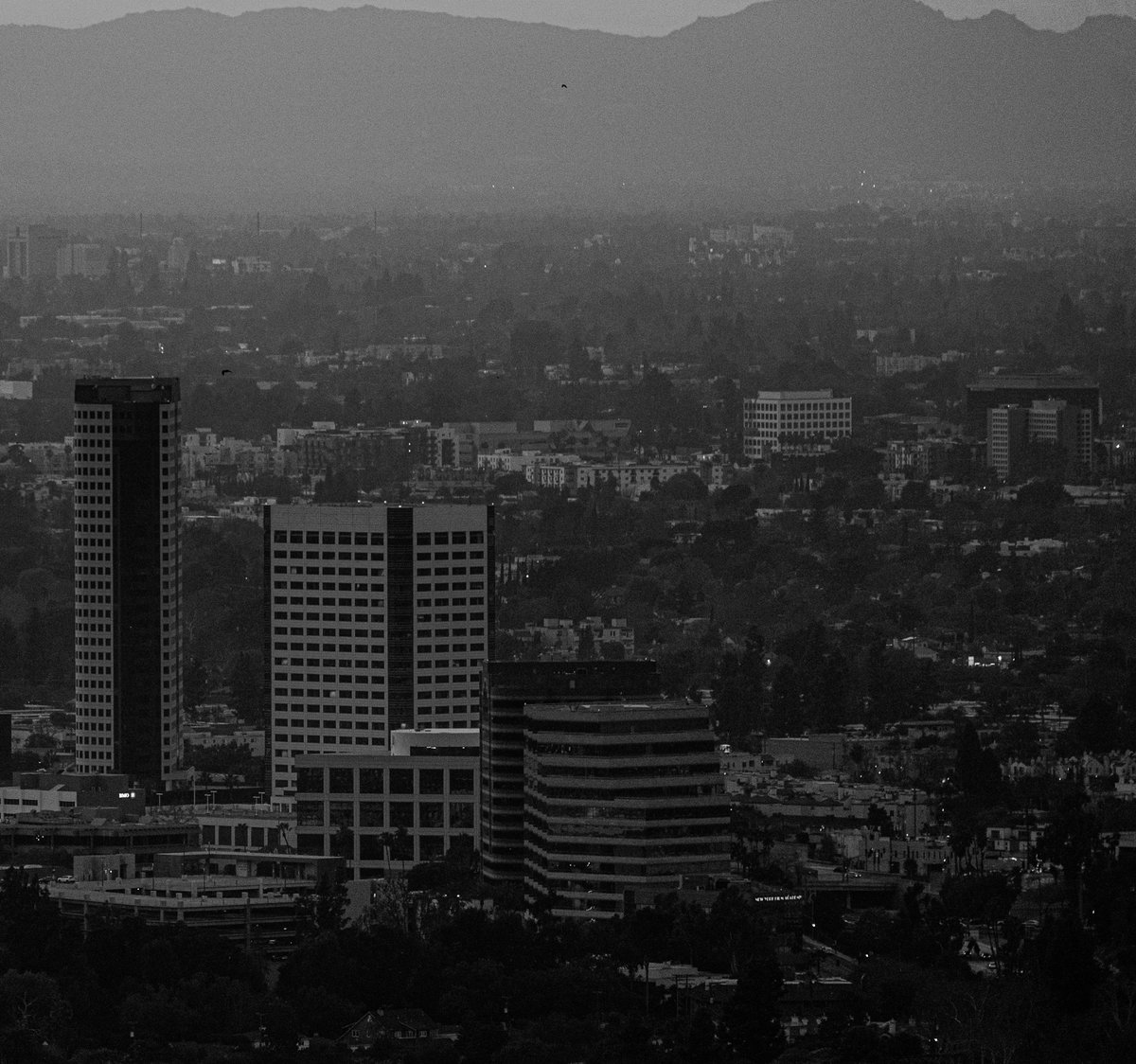 james__smile's tweet image. Calfornication🏙️ #california #blackandwhitephotography #buildings #photography