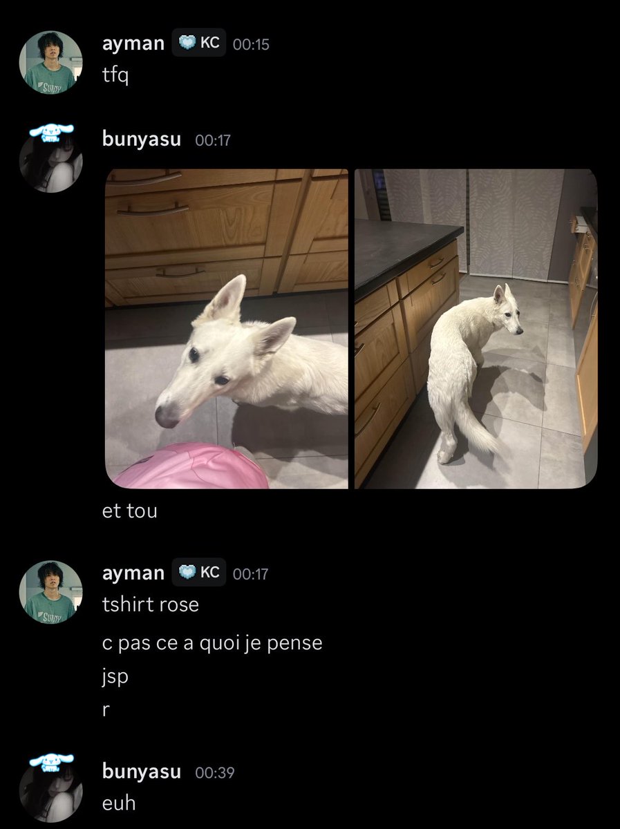 bun tweet media