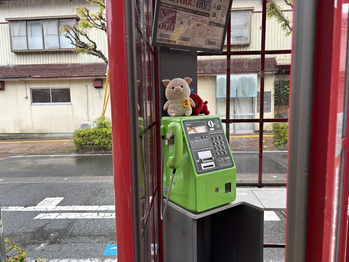 華 tweet media