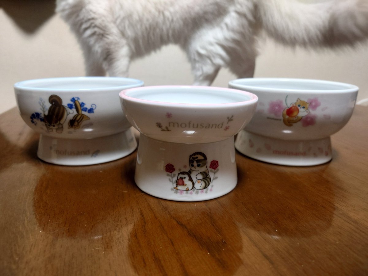tamako0930's tweet photo. やっぱり猫��さん×mofusandさんの商品最高に可愛い✨️
ウォーターボウルもフードボウルも、もう1つ欲しかったから嬉しい🎵 https://t.co/PTKE6G8lAk