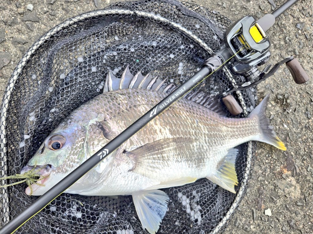 4月を写真4枚で振り返る ①RGMSPEC.2CHUB チャビング専用ロッドの登場