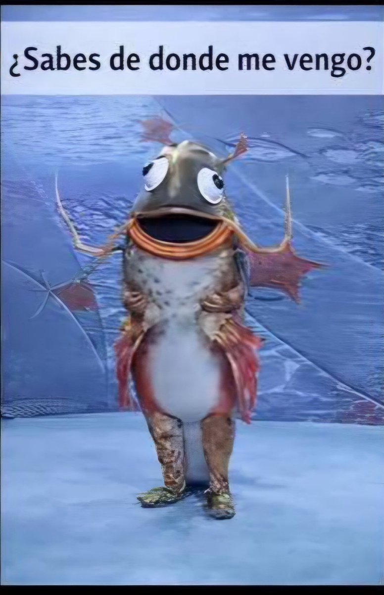 Fui al teatro acá cerca y tomé el bondi. Hace 4 horas que me estoy riendo sola.