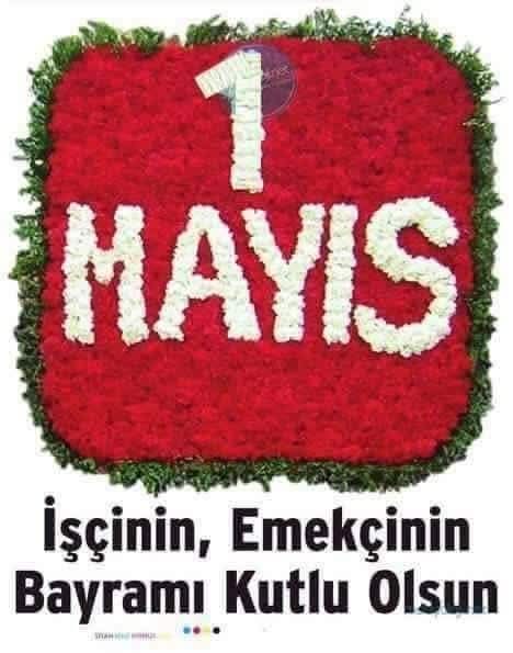 BerbatSunay's tweet photo. https://t.co/tdRlzs14te