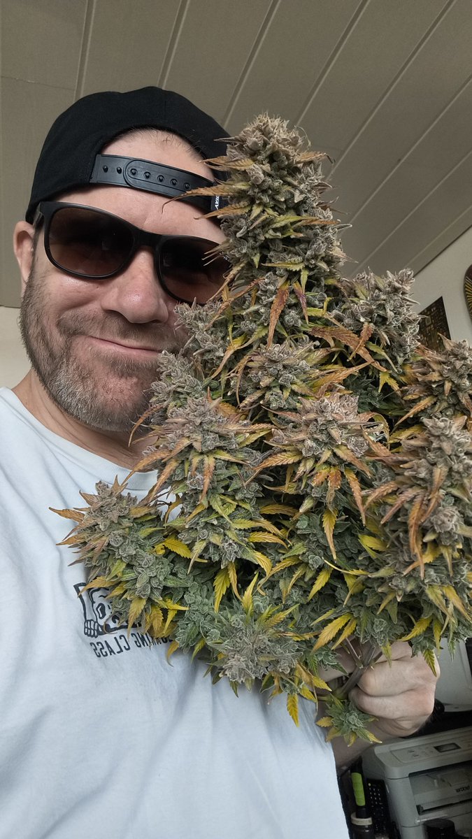 Grow Vlogs tweet media