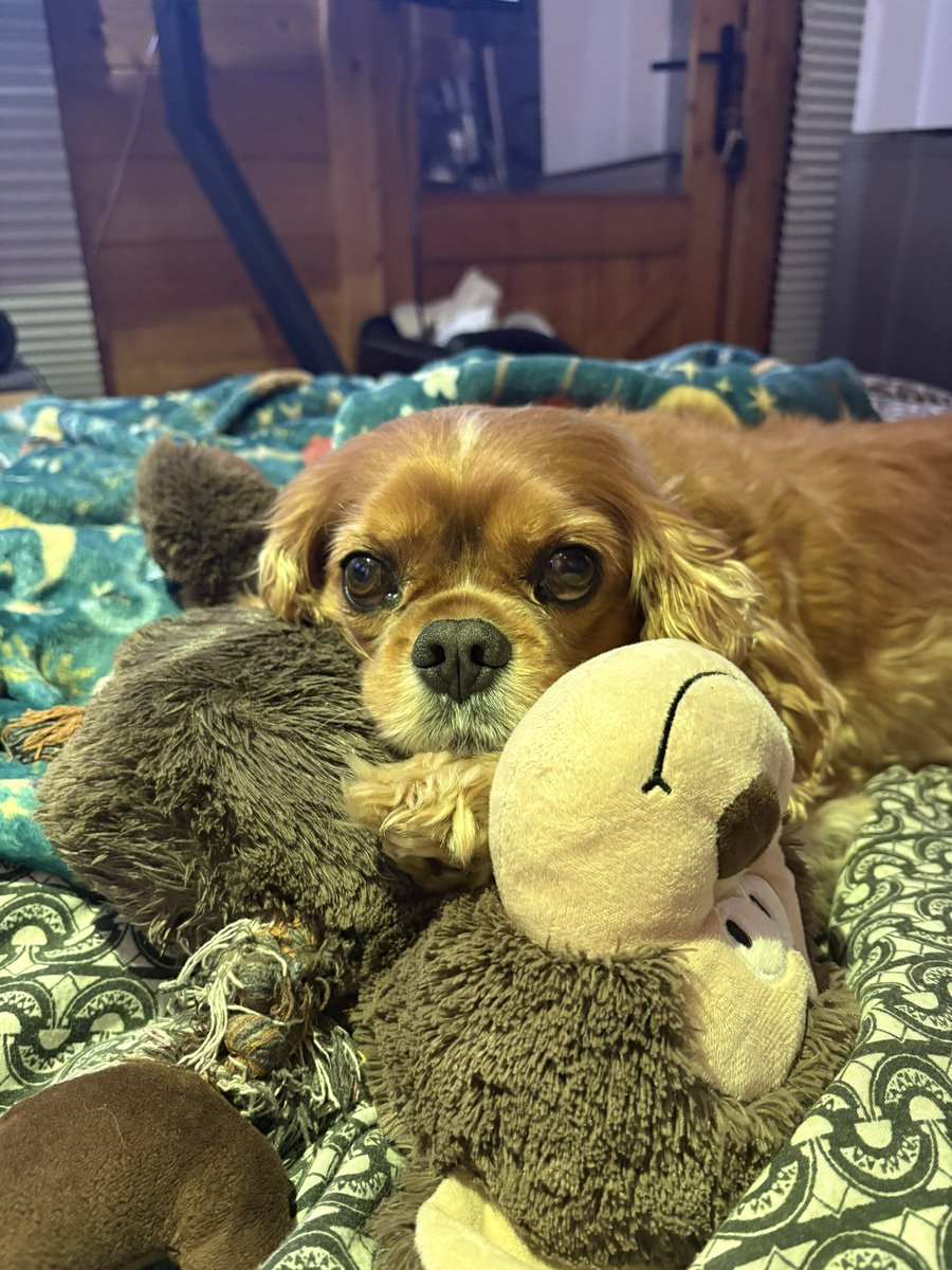 Nothing to see here!!! Just me and my monkey