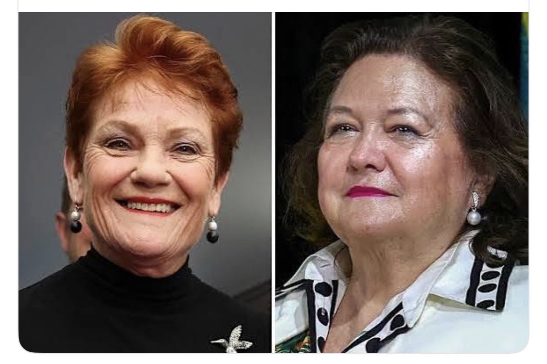 So Pauline Hanson is “in Gina Rinehart’s pocket” because she accepted a plane and said thank you on camera?

What a load of hogwash.

Let’s talk about pockets.
Rinehart’s company Hancock Prospecting gave $895,000 to Advance Australia, the right-wing attack ad machine. Gave
