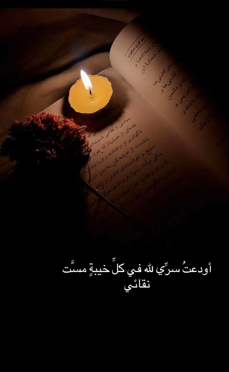 أمل الحب tweet media