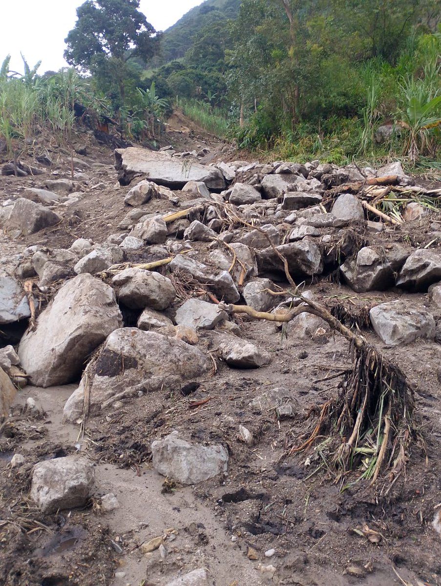 cabildokankuamo's tweet photo. Emergencia invernal en la Sierra Nevada de Santa Marta
Más de 900 familias indígenas Kogui, Kankuamas y Wiwas permanecen aisladas por graves afectaciones en la movilidad.

La crisis en la Sierra Nevada de Santa Marta pone en riesgo la salud, educación y acceso básico de comunidades enteras.
Se requiere atención urgente, presencia institucional y soluciones inmediatas.

@petrogustavo
@CarlosCarrilloA
@UNGRD

#emergenciainvernal #lluvia #urgente #sierranevada #corazondelmundo