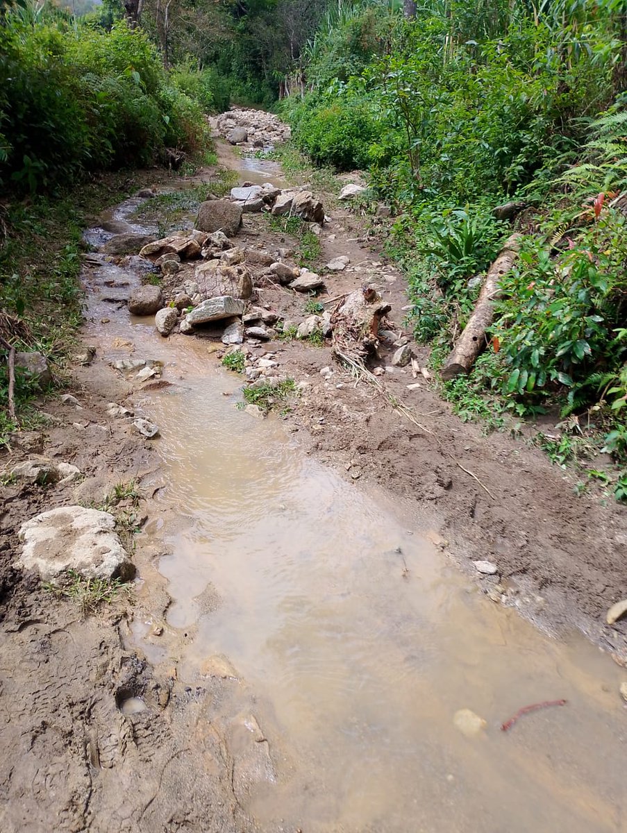 cabildokankuamo's tweet photo. Emergencia invernal en la Sierra Nevada de Santa Marta
Más de 900 familias indígenas Kogui, Kankuamas y Wiwas permanecen aisladas por graves afectaciones en la movilidad.

La crisis en la Sierra Nevada de Santa Marta pone en riesgo la salud, educación y acceso básico de comunidades enteras.
Se requiere atención urgente, presencia institucional y soluciones inmediatas.

@petrogustavo
@CarlosCarrilloA
@UNGRD

#emergenciainvernal #lluvia #urgente #sierranevada #corazondelmundo