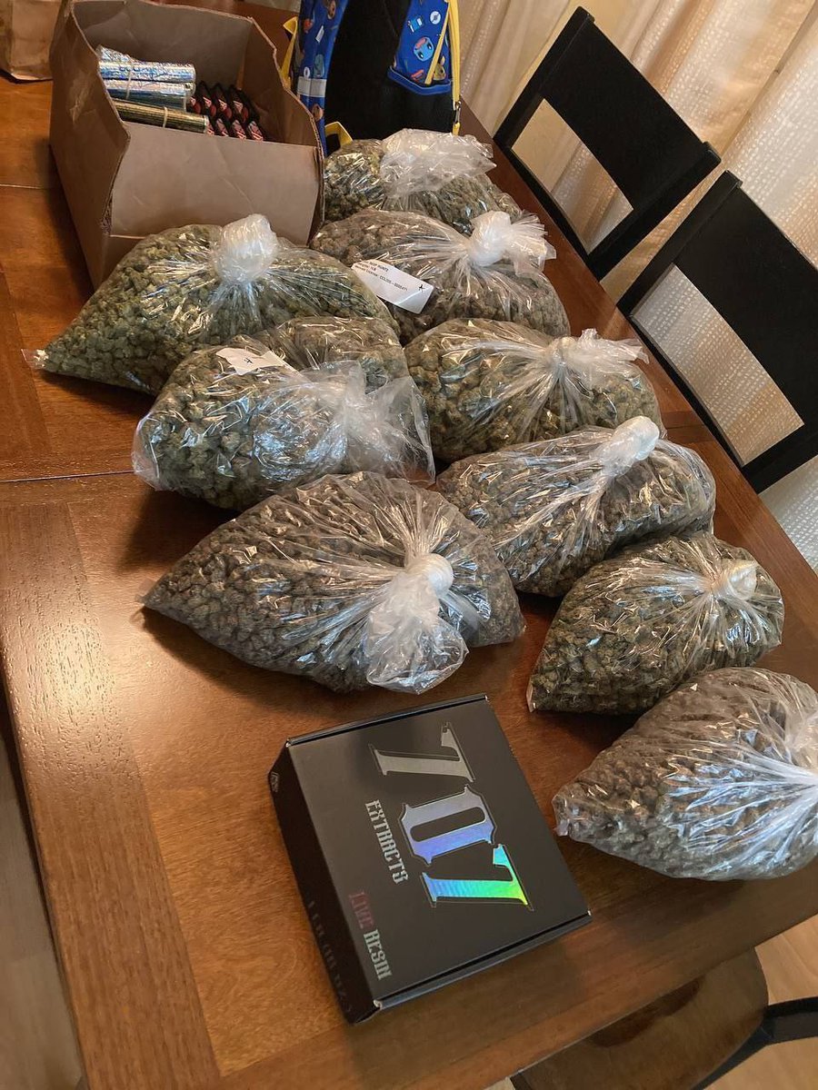 sincity seeds tweet media