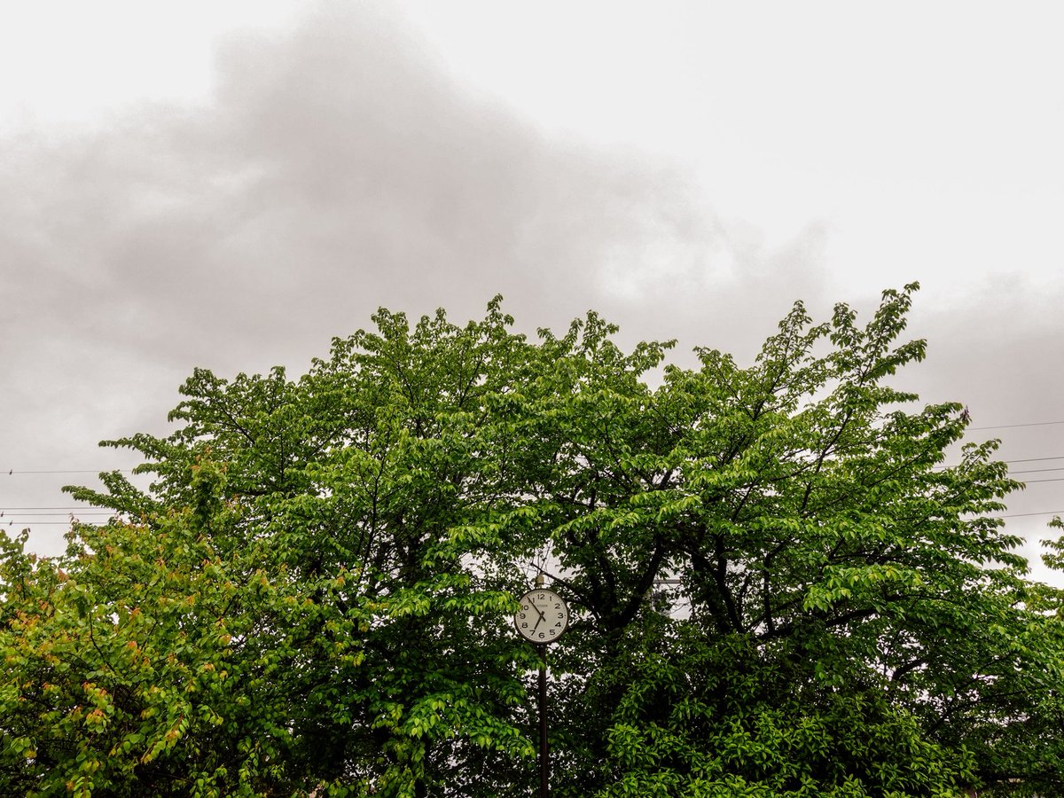 yatakaharu's tweet image. #sonyzv1 #Lightroom