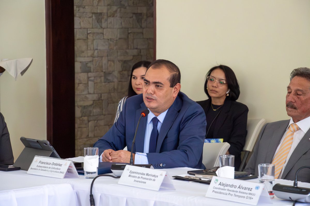 ONU Honduras tweet media
