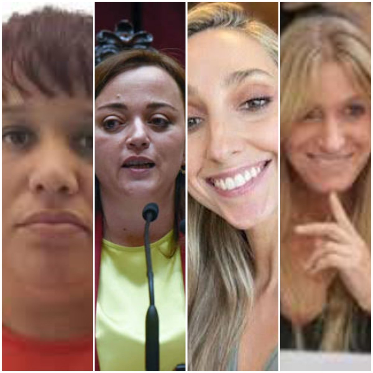 Estas cuatro kirchneristas rancias tampoco deberían ser diputadas. Son impresentables.