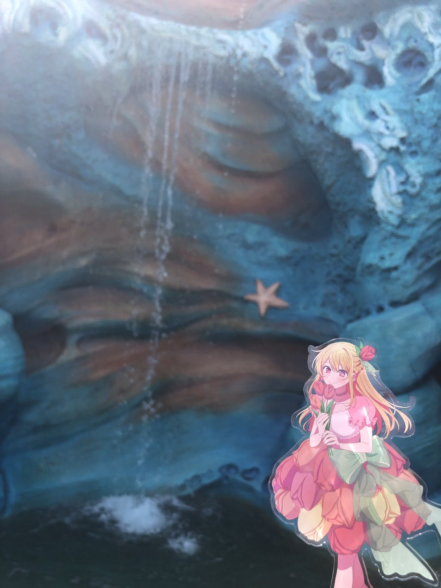 ぷりぷり tweet media