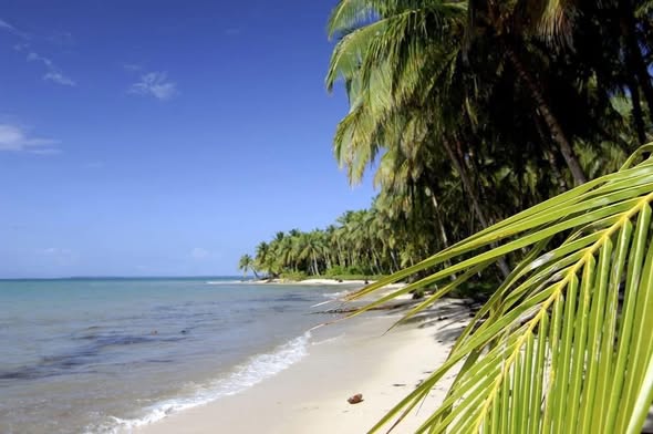 CaravelloPeter's tweet image. 2nts Fort Lauderdale Stay &amp;amp; 7nts Regal Caribbean Cocktail Cruise
Departing 17th Sep 2026 from £1109.00 pp
Sun, sea, and a touch of Caribbean indulgence
#travel #holiday #cruise #travelblogger #travelinfluencer