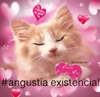 ⋆˚꩜｡ tweet media