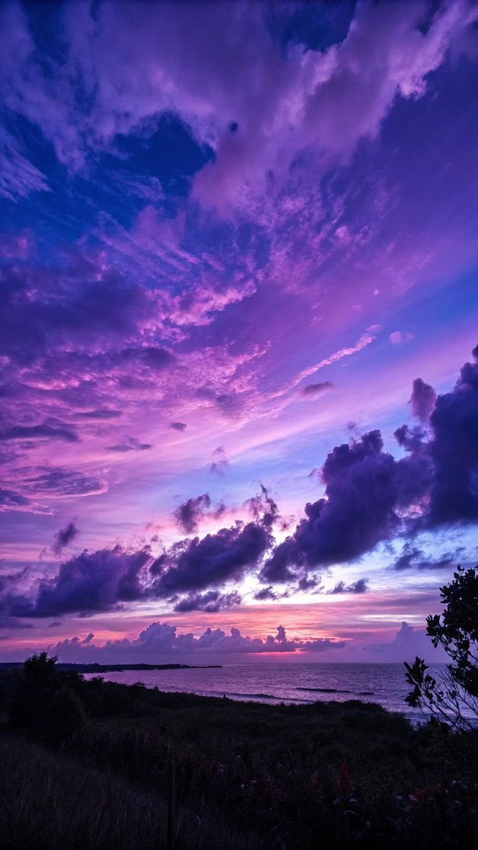 violet✧*｡ tweet media