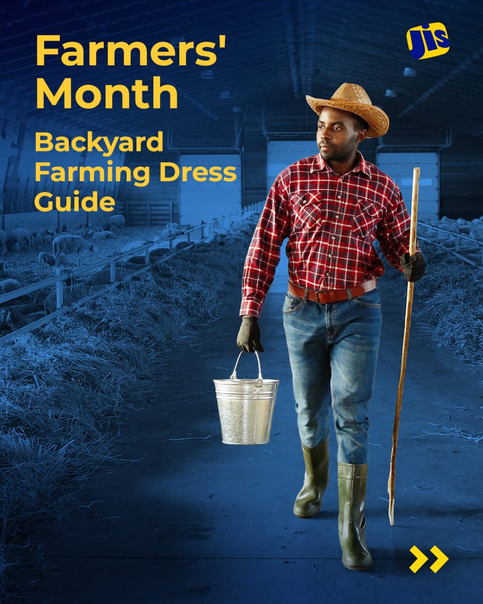 JISNews's tweet photo. Thinking of venturing into backyard farming?

Keep this post in mind for the appropriate approach to getting ready to start the day.

#farmersmonth
#backyardfarming
#dressguide https://t.co/ZZi71YNWHJ