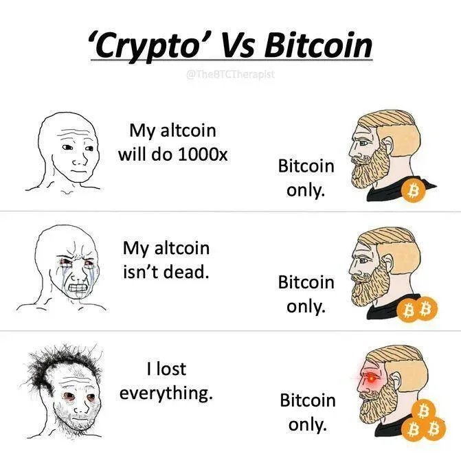 OxMektani's tweet image. Every crypto cycle, same story 😂

Meanwhile, the Bitcoin maxi just sits there.

Bitcoin only. 

They called him boring. He called it a strategy. 😎

#Bitcoin #BTC #BitcoinOnly #Crypto #Altcoins #DYOR