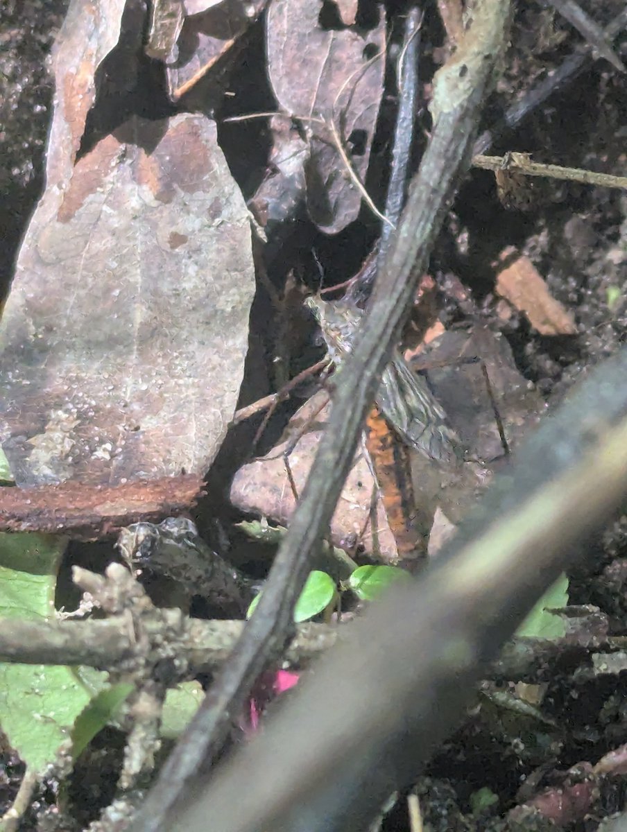 danny tweet media