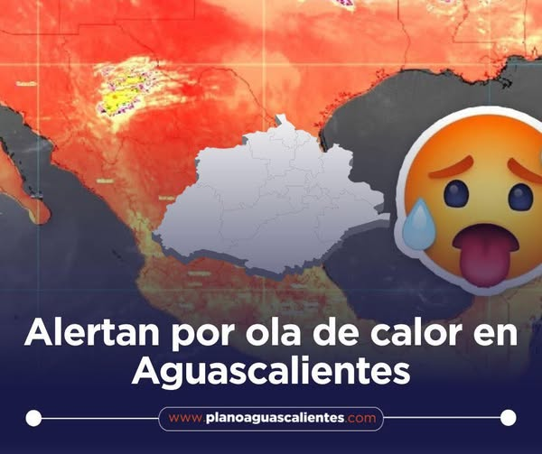 Plano Informativo Aguascalientes tweet media