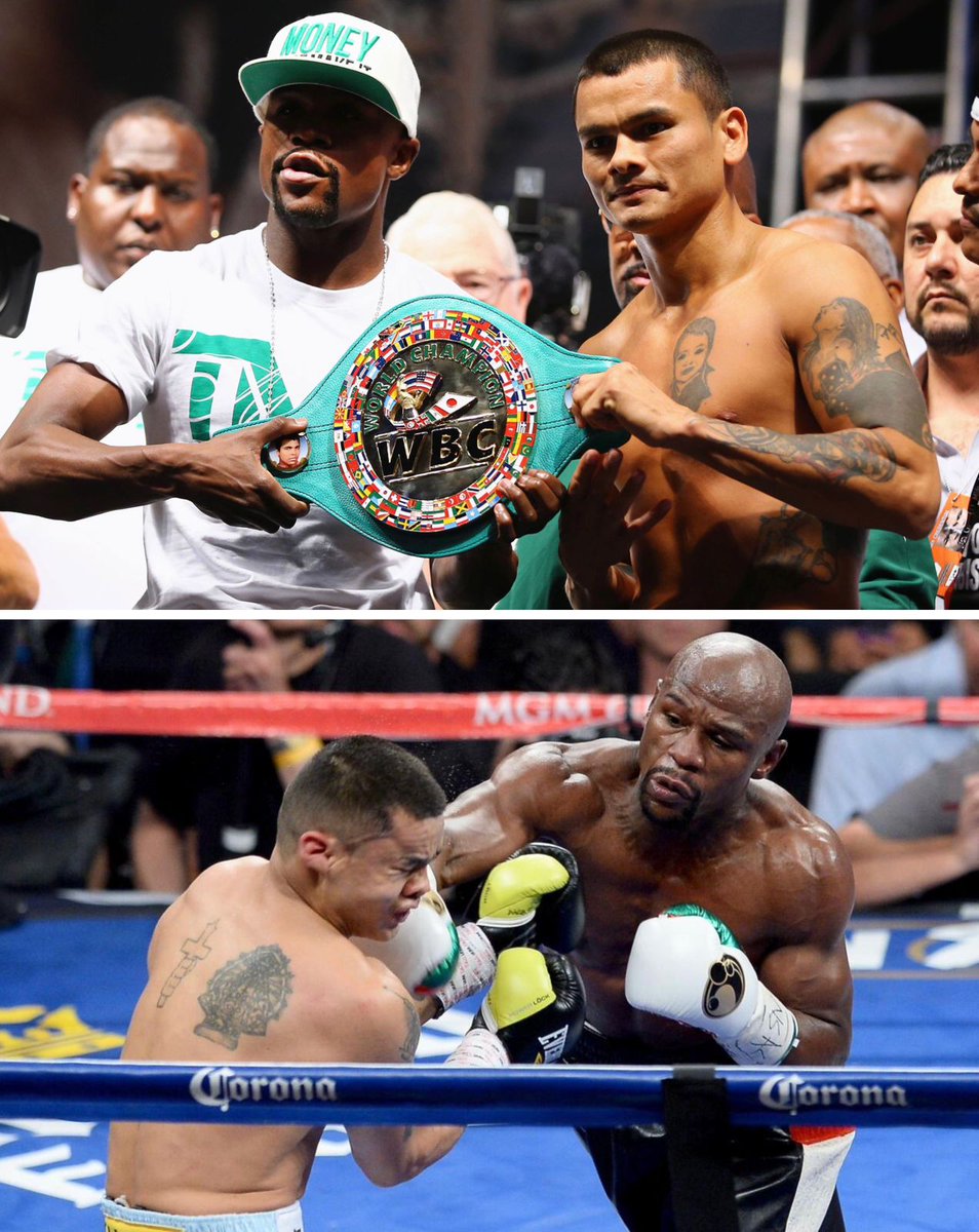 World Boxing Council tweet media