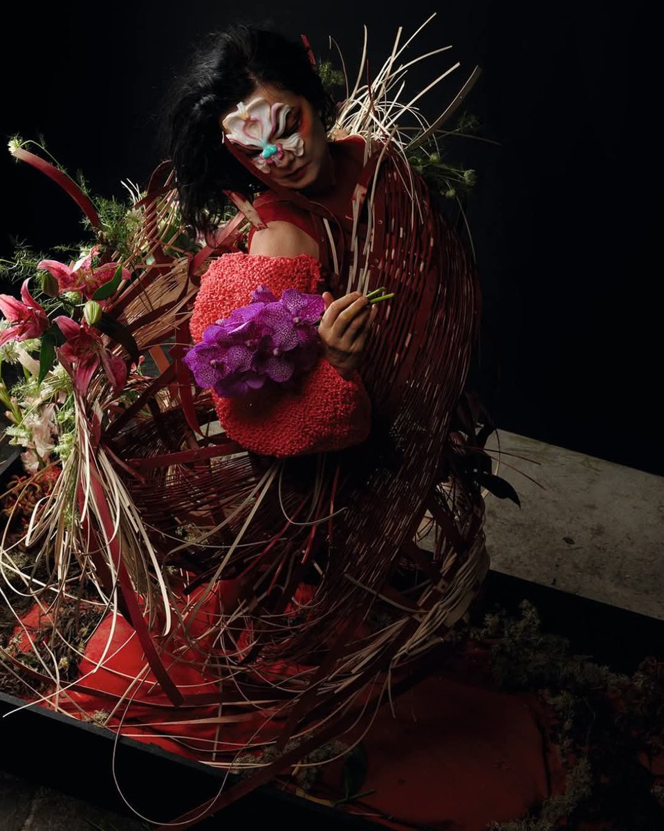 björk archive tweet media