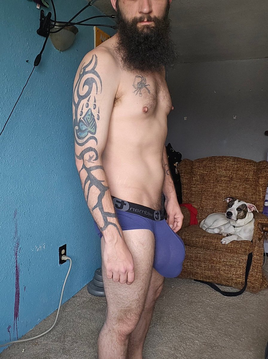 MNmusclebear tweet media