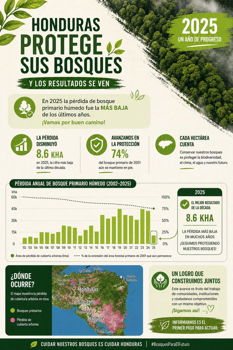 Hoy, a través de Global Forest Watch  (<a href="/globalforests/">Global Forest Watch</a>), se reconoce internacionalmente una de las noticias más significativas para Honduras: la reducción histórica de la deforestación en 2025, alcanzando los niveles más bajos en los últimos 12 años. Un logro extraordinario para