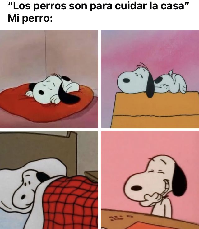 rey_latino33087's tweet photo. https://t.co/D9mdxdjGeV