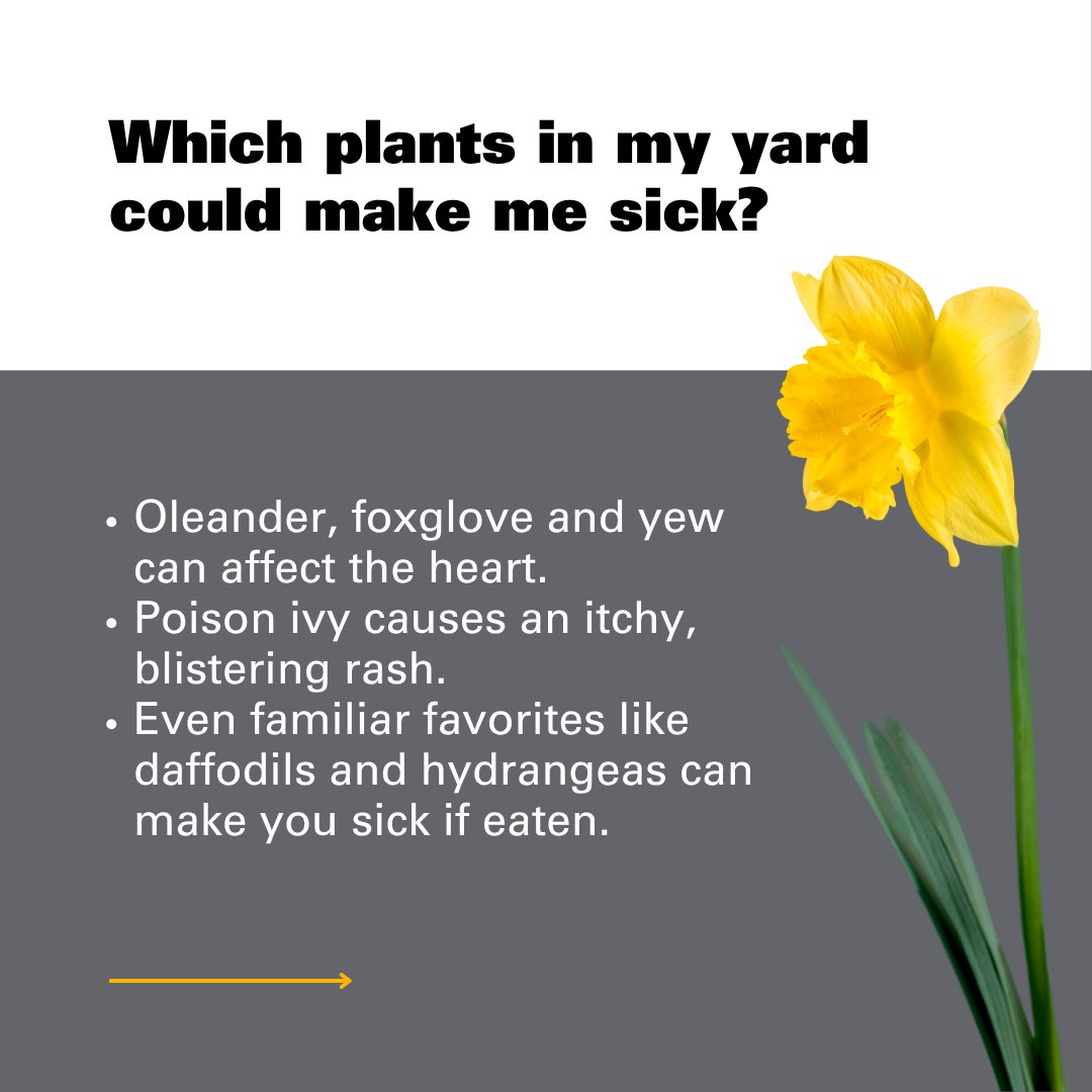 VCU Health tweet media