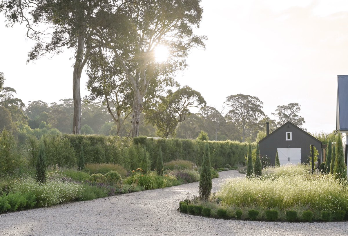 danthomasdesign's tweet image. I’ve been discovering more about garden photography as of late, the chase, the timing, the excitement of seeing a moment in time brought back to life.#gardens 
I still have much to learn but gosh it’s fulfilling.