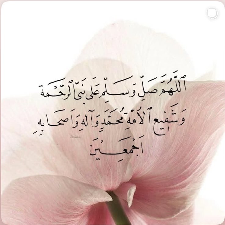 . tweet media